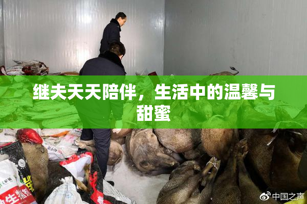 继夫天天陪伴，生活中的温馨与甜蜜