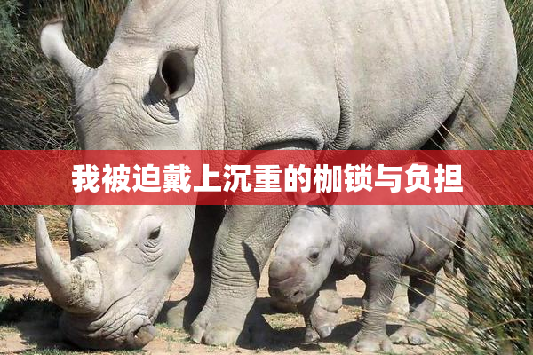 我被迫戴上沉重的枷锁与负担