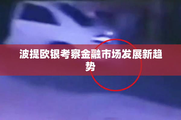 波提欧银考察金融市场发展新趋势