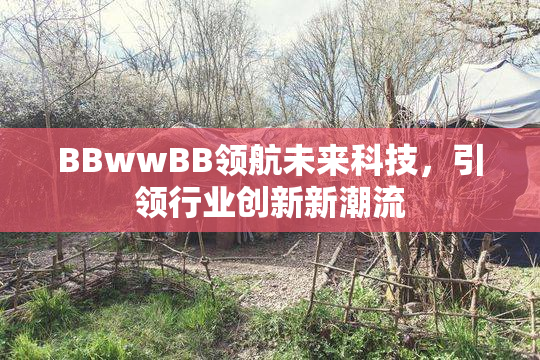 BBwwBB领航未来科技，引领行业创新新潮流