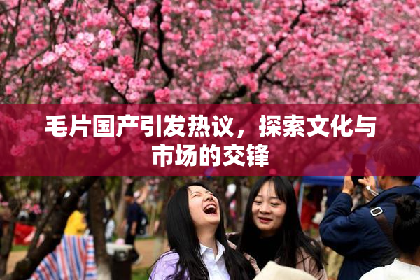 毛片国产引发热议，探索文化与市场的交锋