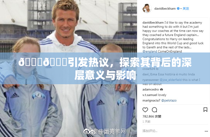 🐔🐔引发热议，探索其背后的深层意义与影响