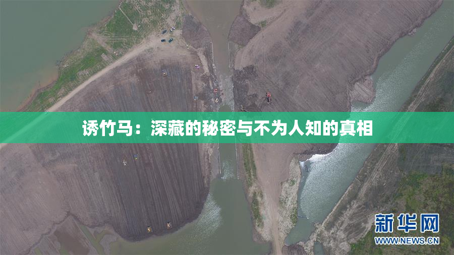 诱竹马：深藏的秘密与不为人知的真相