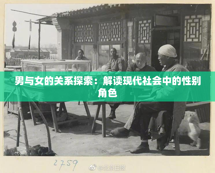 男与女的关系探索：解读现代社会中的性别角色