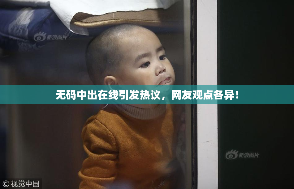 无码中出在线引发热议，网友观点各异！