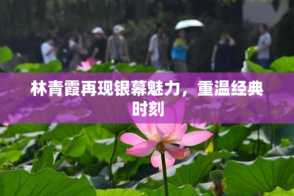 林青霞再现银幕魅力，重温经典时刻