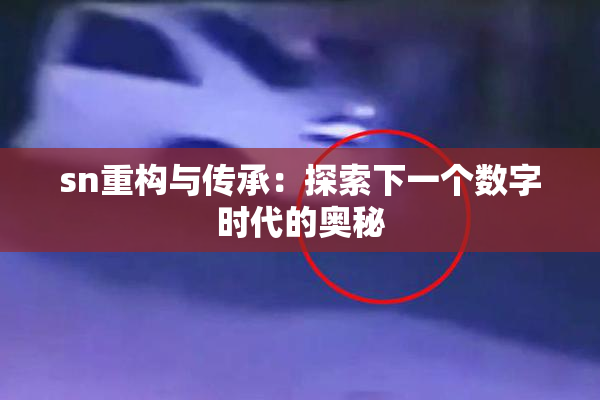 sn重构与传承：探索下一个数字时代的奥秘