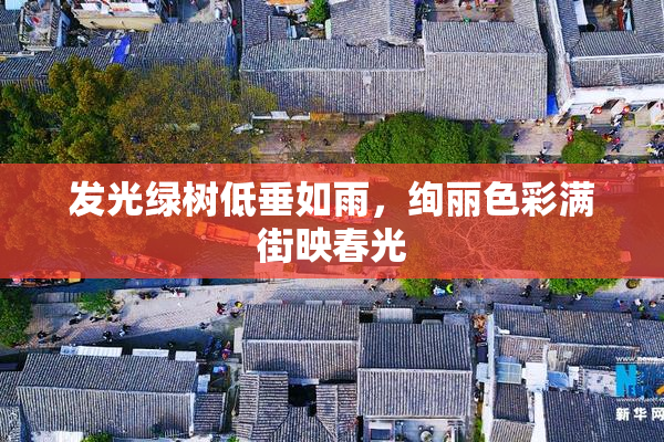 发光绿树低垂如雨，绚丽色彩满街映春光