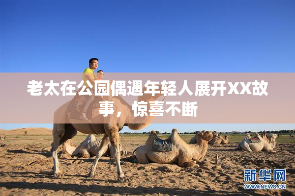 老太在公园偶遇年轻人展开XX故事，惊喜不断