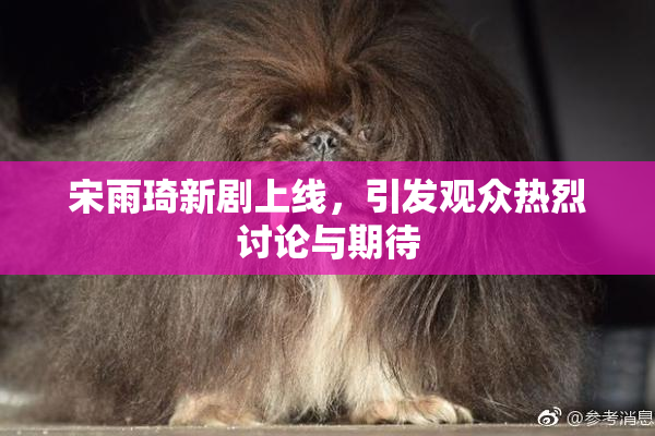 宋雨琦新剧上线，引发观众热烈讨论与期待