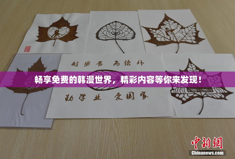畅享免费的韩漫世界，精彩内容等你来发现！