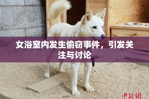 女浴室内发生偷窃事件，引发关注与讨论