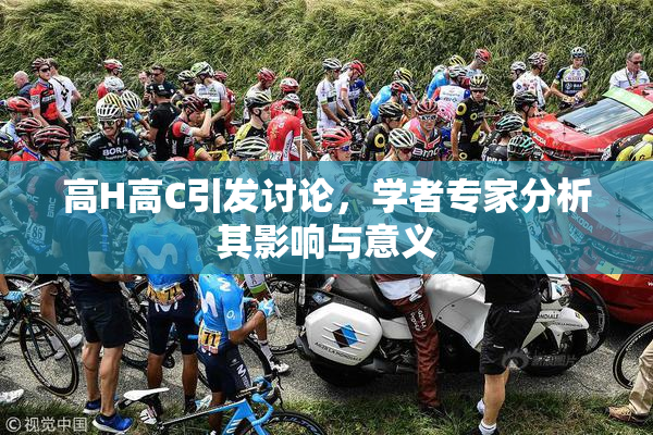 高H高C引发讨论，学者专家分析其影响与意义