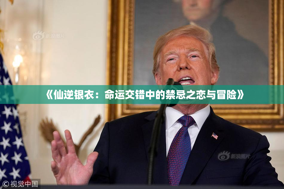 《仙逆银衣：命运交错中的禁忌之恋与冒险》
