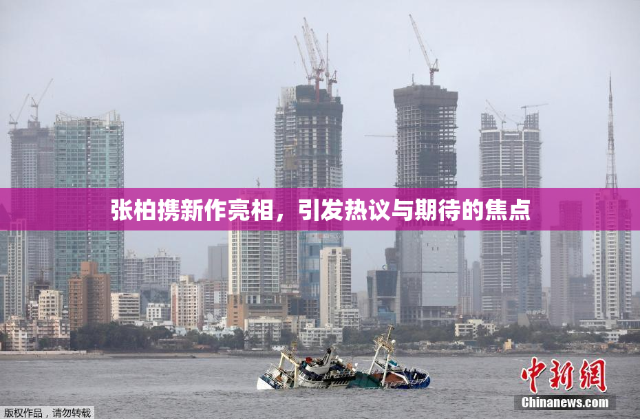 张柏携新作亮相，引发热议与期待的焦点