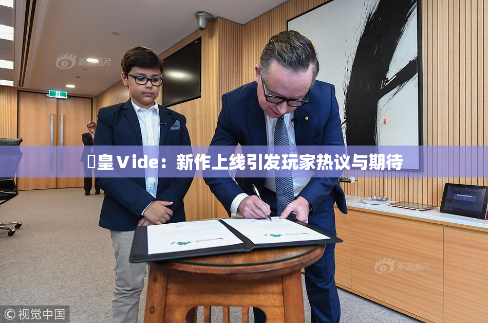 嘼皇Ⅴide：新作上线引发玩家热议与期待