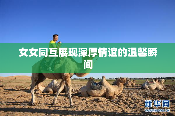女女同互展现深厚情谊的温馨瞬间