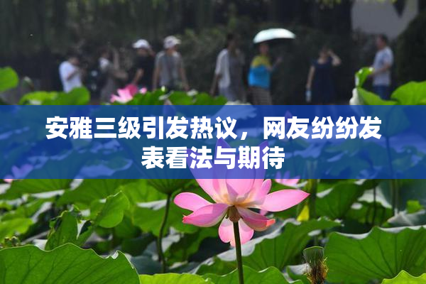 安雅三级引发热议，网友纷纷发表看法与期待