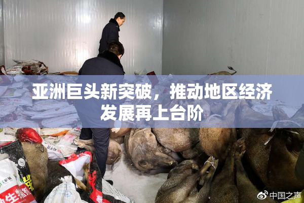亚洲巨头新突破，推动地区经济发展再上台阶