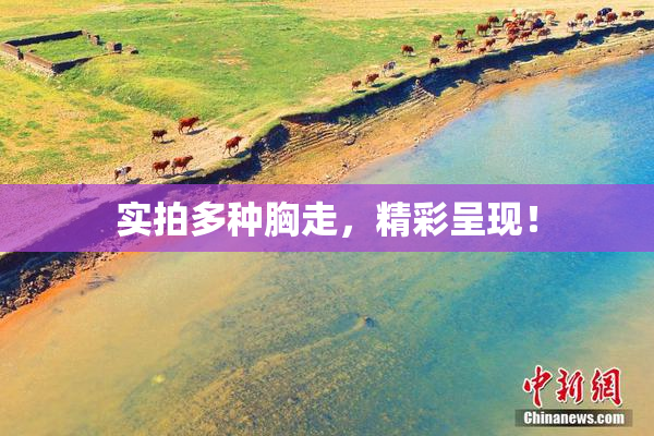 实拍多种胸走，精彩呈现！