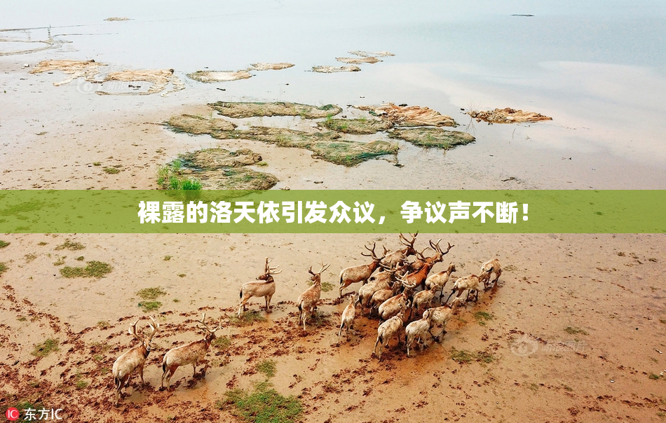 裸露的洛天依引发众议，争议声不断！