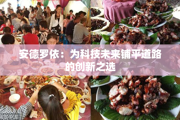 安德罗依：为科技未来铺平道路的创新之选