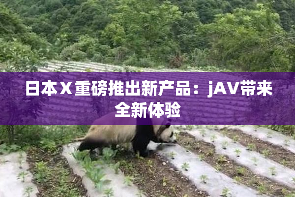 日本Ⅹ重磅推出新产品：jA∨带来全新体验