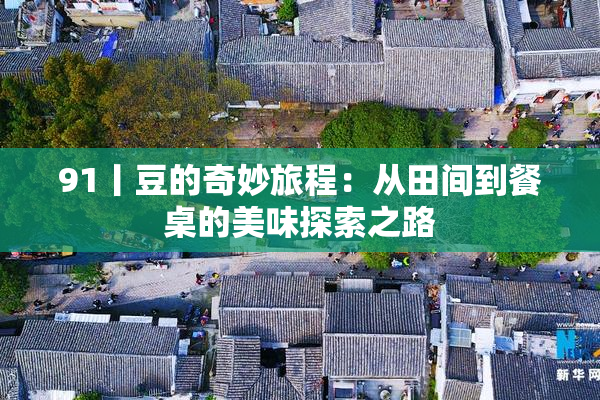 91丨豆的奇妙旅程：从田间到餐桌的美味探索之路