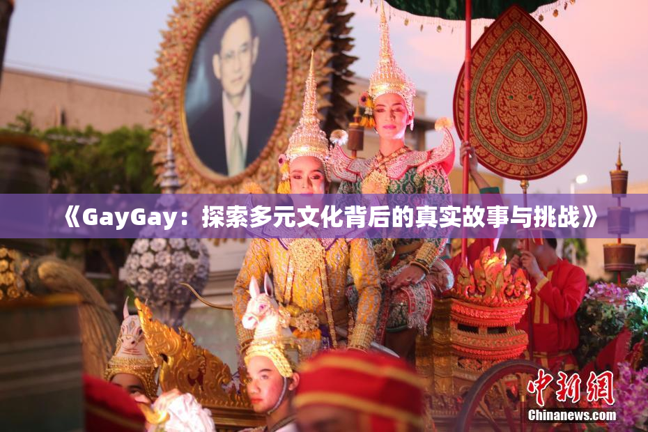 《GayGay：探索多元文化背后的真实故事与挑战》