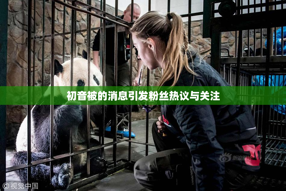 初音被的消息引发粉丝热议与关注