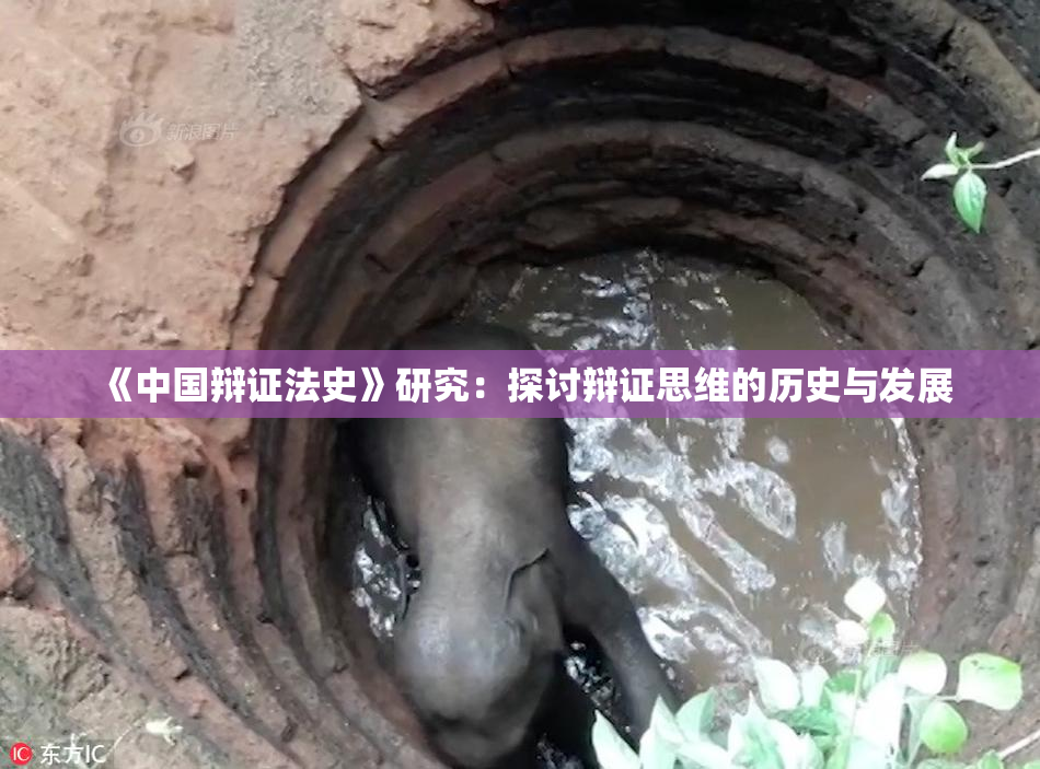 《中国辩证法史》研究：探讨辩证思维的历史与发展