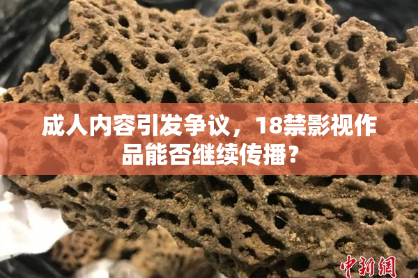 成人内容引发争议，18禁影视作品能否继续传播？