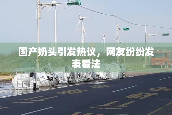 国产奶头引发热议，网友纷纷发表看法