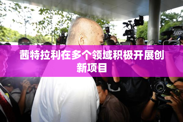 茜特拉利在多个领域积极开展创新项目