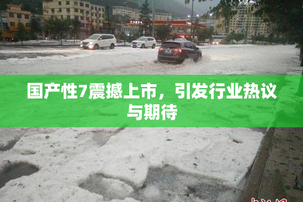 国产性7震撼上市，引发行业热议与期待