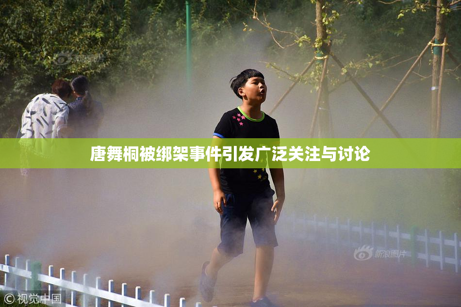 唐舞桐被绑架事件引发广泛关注与讨论