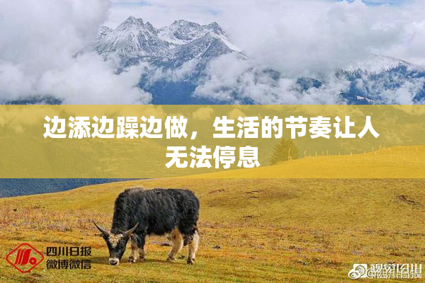 边添边躁边做，生活的节奏让人无法停息