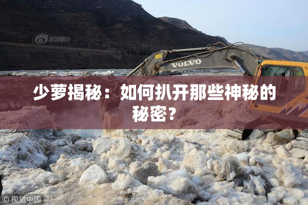少萝揭秘：如何扒开那些神秘的秘密？