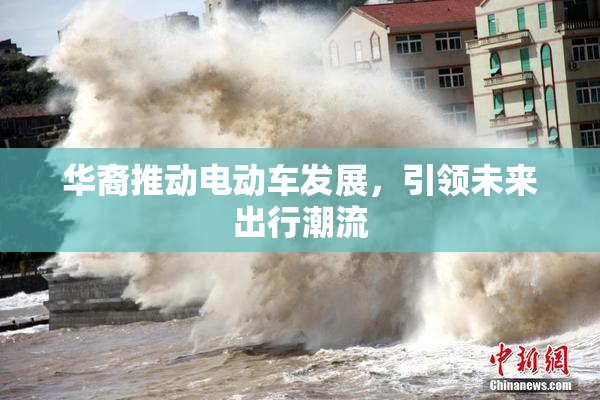 华裔推动电动车发展，引领未来出行潮流