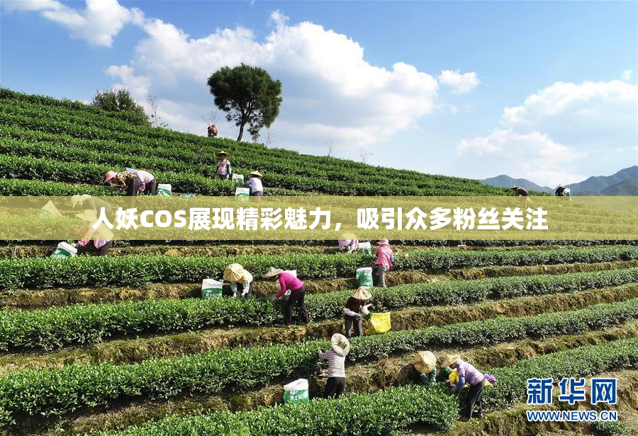 人妖COS展现精彩魅力，吸引众多粉丝关注