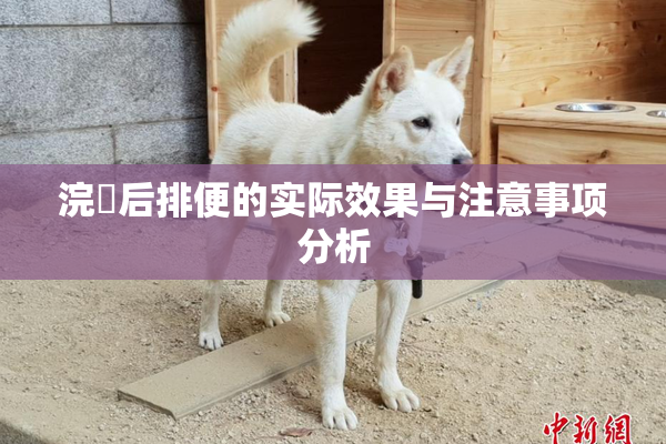 浣腸后排便的实际效果与注意事项分析