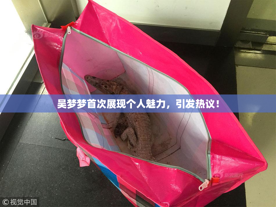 吴梦梦首次展现个人魅力，引发热议！