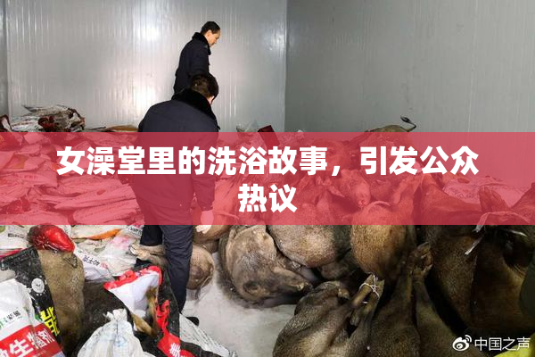 女澡堂里的洗浴故事，引发公众热议