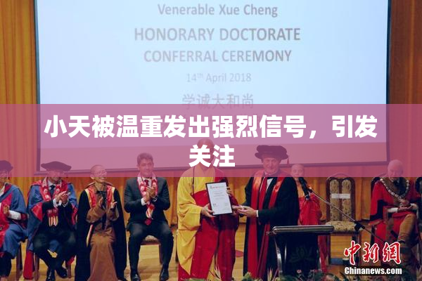 小天被温重发出强烈信号，引发关注