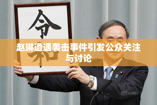 赵琳遭遇袭击事件引发公众关注与讨论