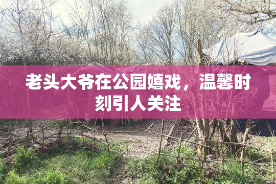 老头大爷在公园嬉戏，温馨时刻引人关注
