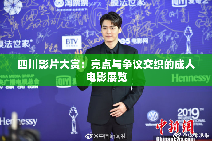 四川影片大赏：亮点与争议交织的成人电影展览