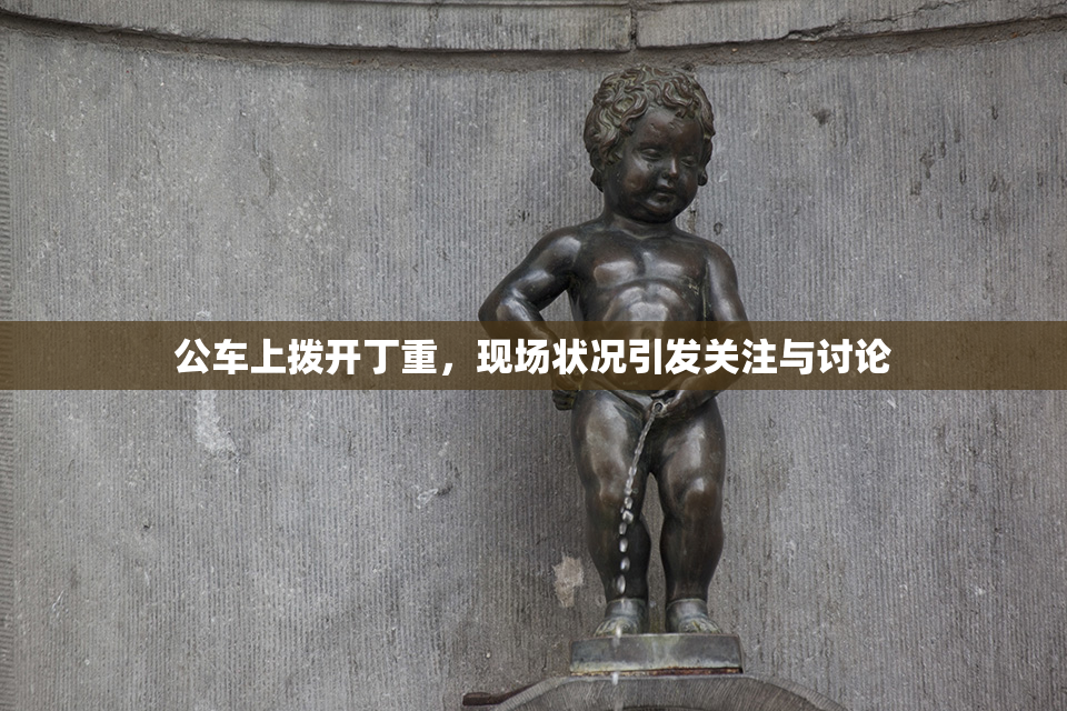 公车上拨开丁重，现场状况引发关注与讨论