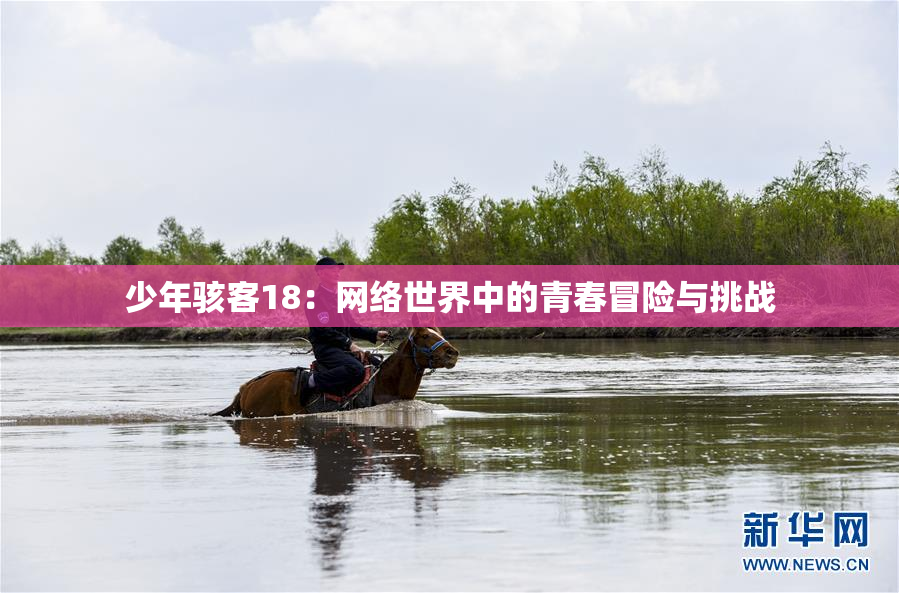 少年骇客18：网络世界中的青春冒险与挑战