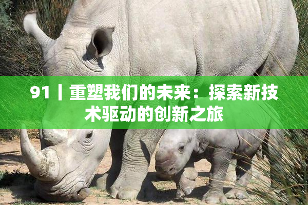 91丨重塑我们的未来：探索新技术驱动的创新之旅